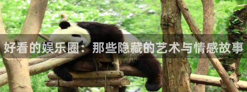 888贵宾会官网：好看的娱乐圈：那些隐藏的艺术与情感故事