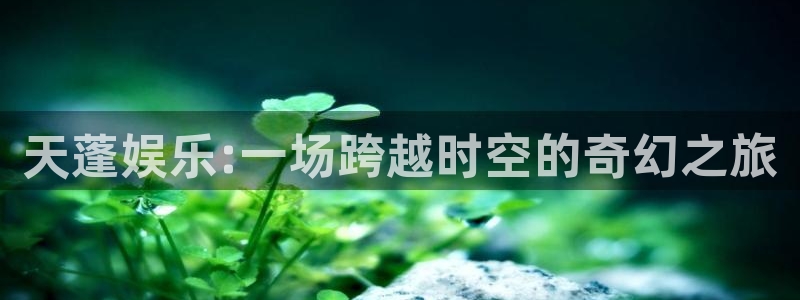 888贵宾会官网：天蓬娱乐:一场跨越时空的奇幻之旅