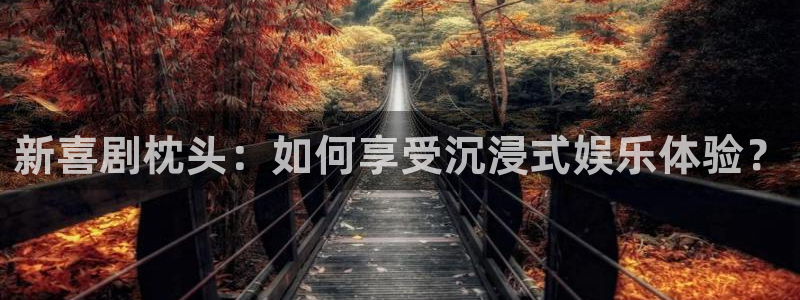 888贵宾会官网：新喜剧枕头：如何享受沉浸式娱乐体验？