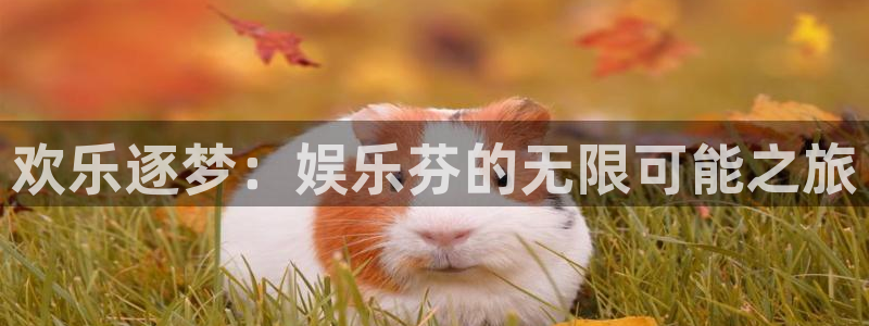 888贵宾会官网：欢乐逐梦：娱乐芬的无限可能之旅