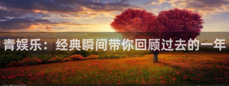 888贵宾会官网：青娱乐：经典瞬间带你回顾过去的一年