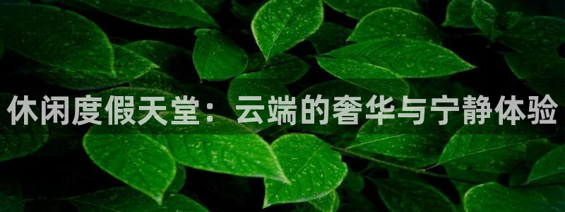 888贵宾会官网：休闲度假天堂：云端的奢华与宁静体验