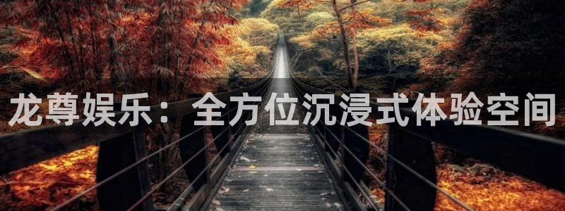 888贵宾会官网：龙尊娱乐：全方位沉浸式体验空间